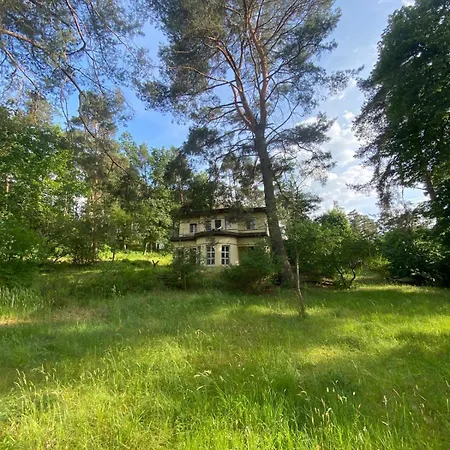Kleine Am Wolziger Heidesee